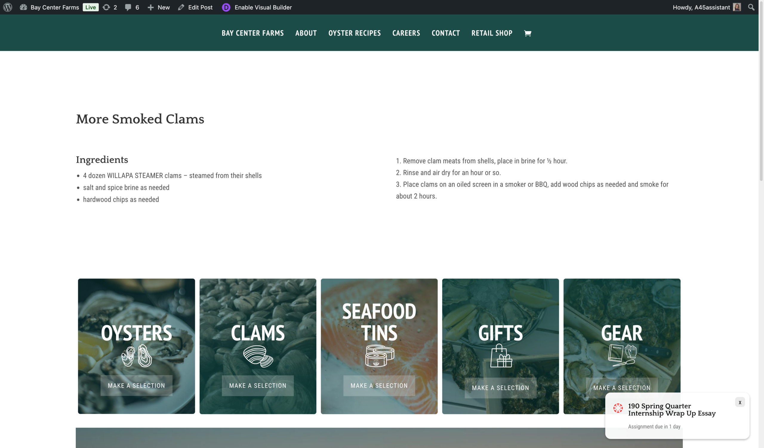 Web Design